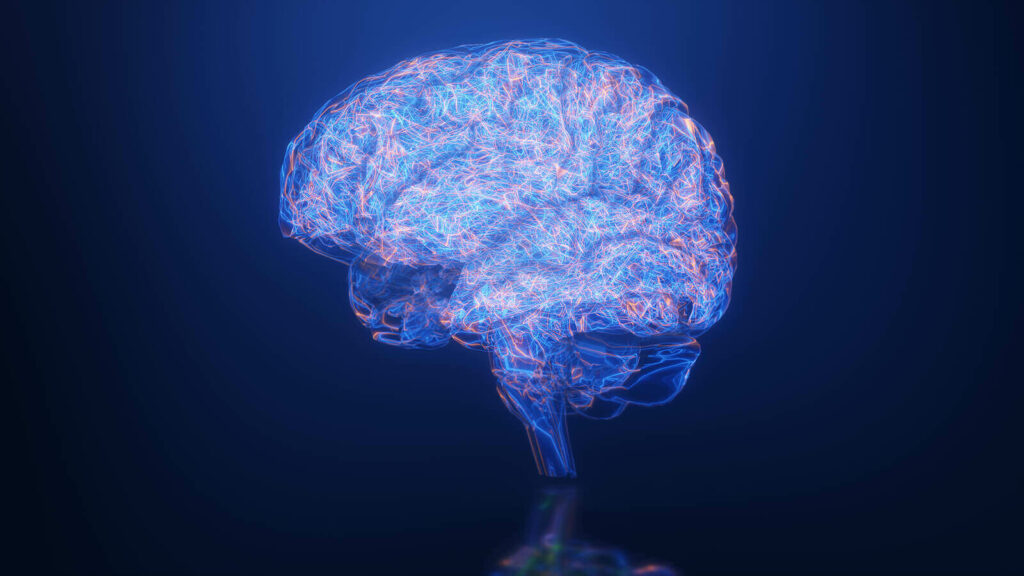 An image of the brain with the neural connections shown representing the work done with Neurofeedback for ADHD in Washington, DC.