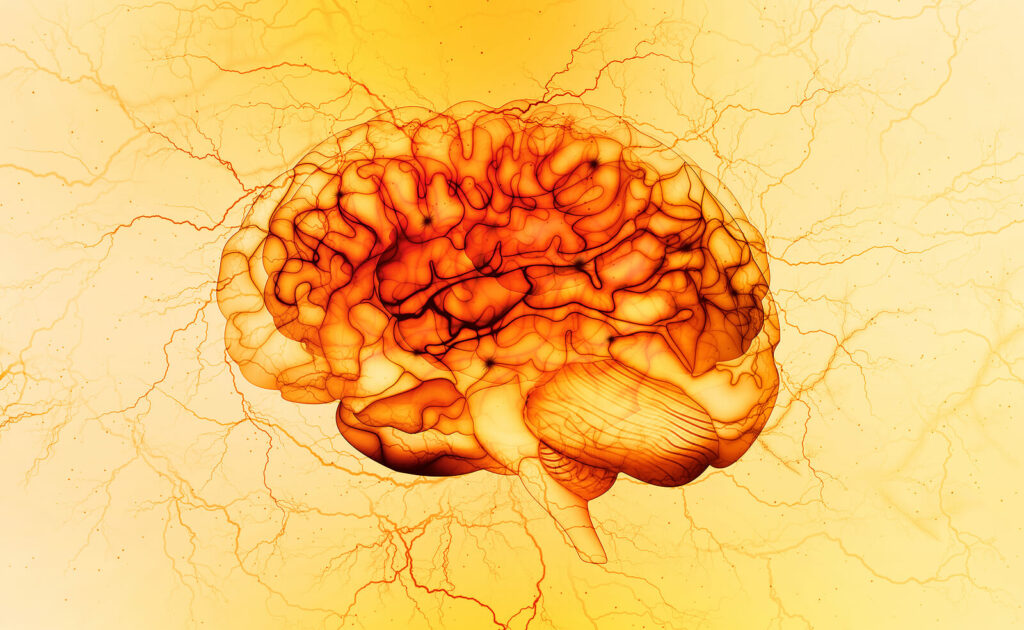 An artist rendering of the human brain from a side view. If anxiety is overwhelming your brain overcome these feelings with Neurofeedback for Anxiety in Washington, DC.