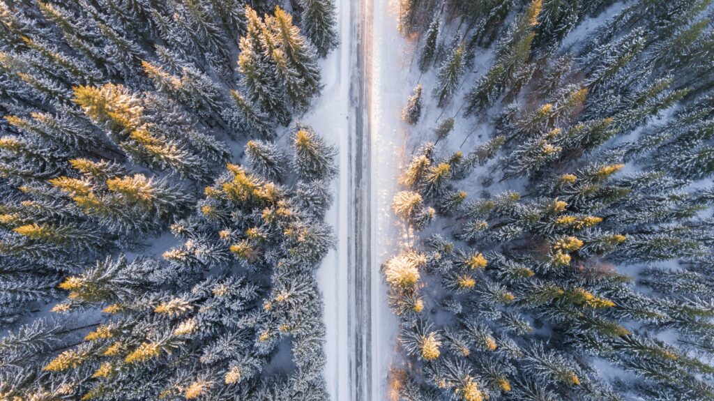 An arial view of a winter road cutting through the snowy pines representing the comfort and peace being outside can bring during the holiday season. Get more tips in Therapy for Anxiety in Washington, DC.